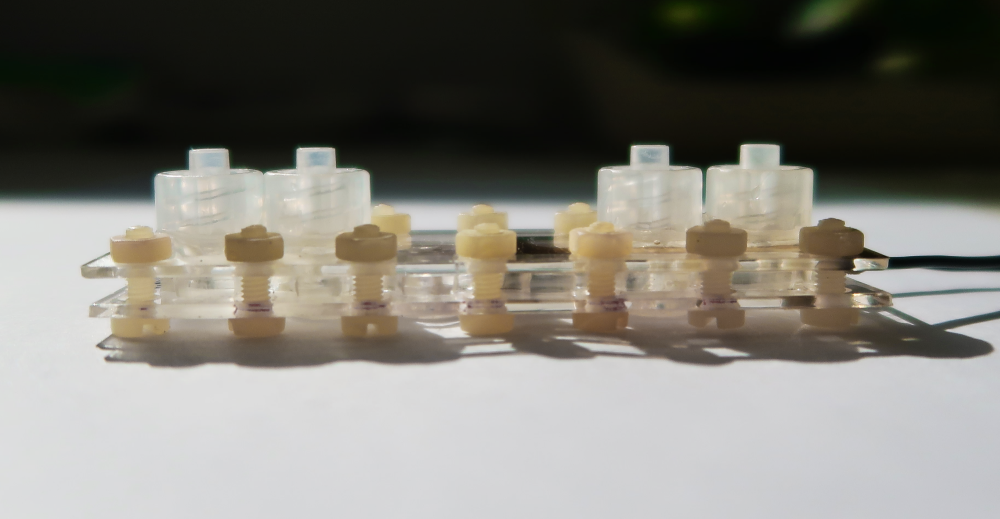 Építs velünk agyi ereket – A vér-agy gát modellezése biochip rendszerekben