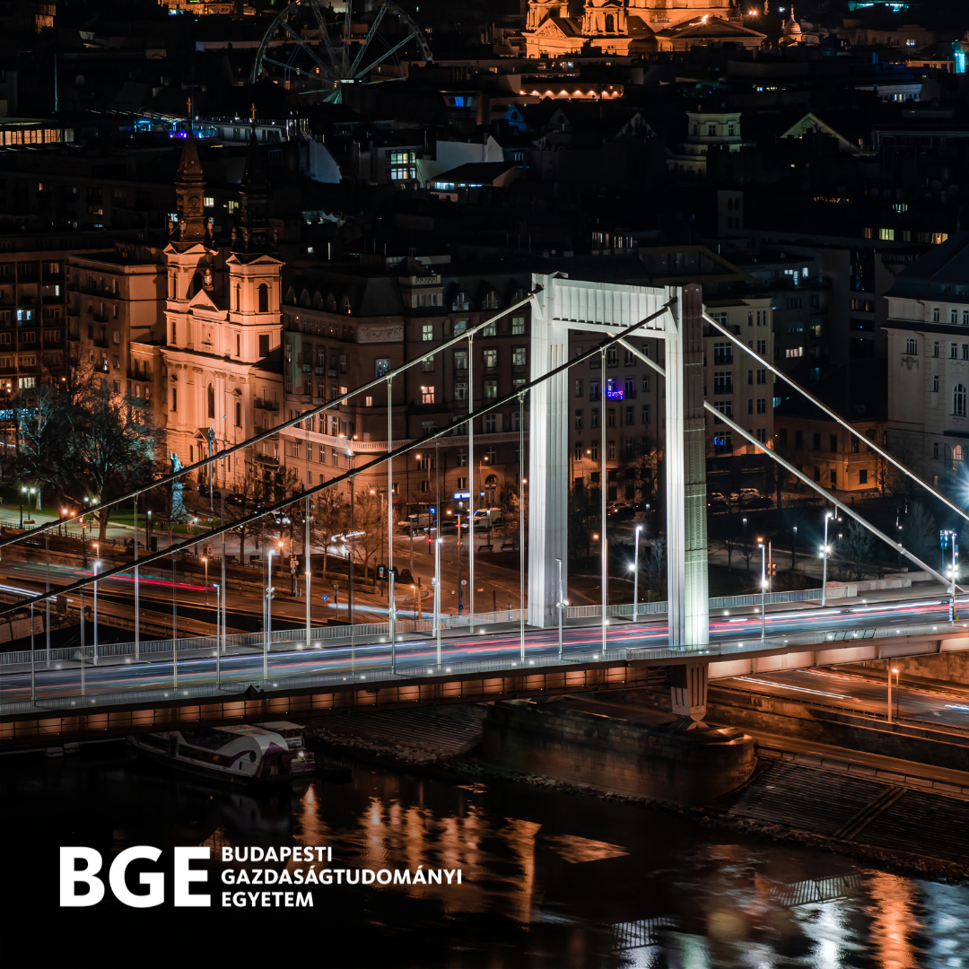 Lights of Budapest