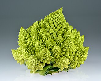 Matematikai érdekeségek