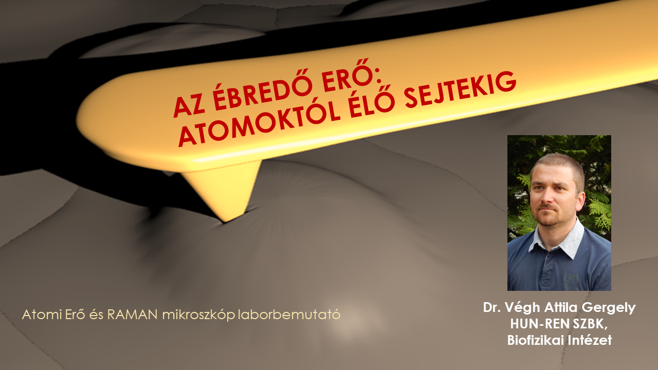 Az ébredő erő: atomoktól élő sejtekig