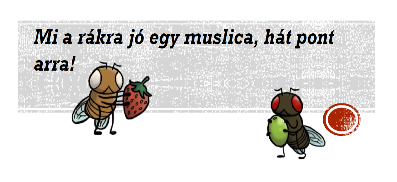 Elektronmikroszkóp – Utazás a mikrovilágba