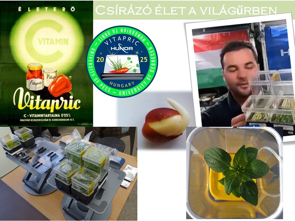 Csírázó élet a világűrben és a debreceni Biodrome-ban