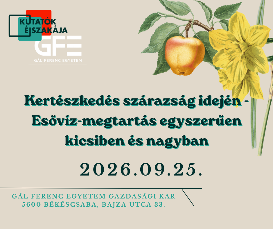 Kertészkedés szárazság idején -  Esővíz-megtartás egyszerűen kicsiben és nagyban