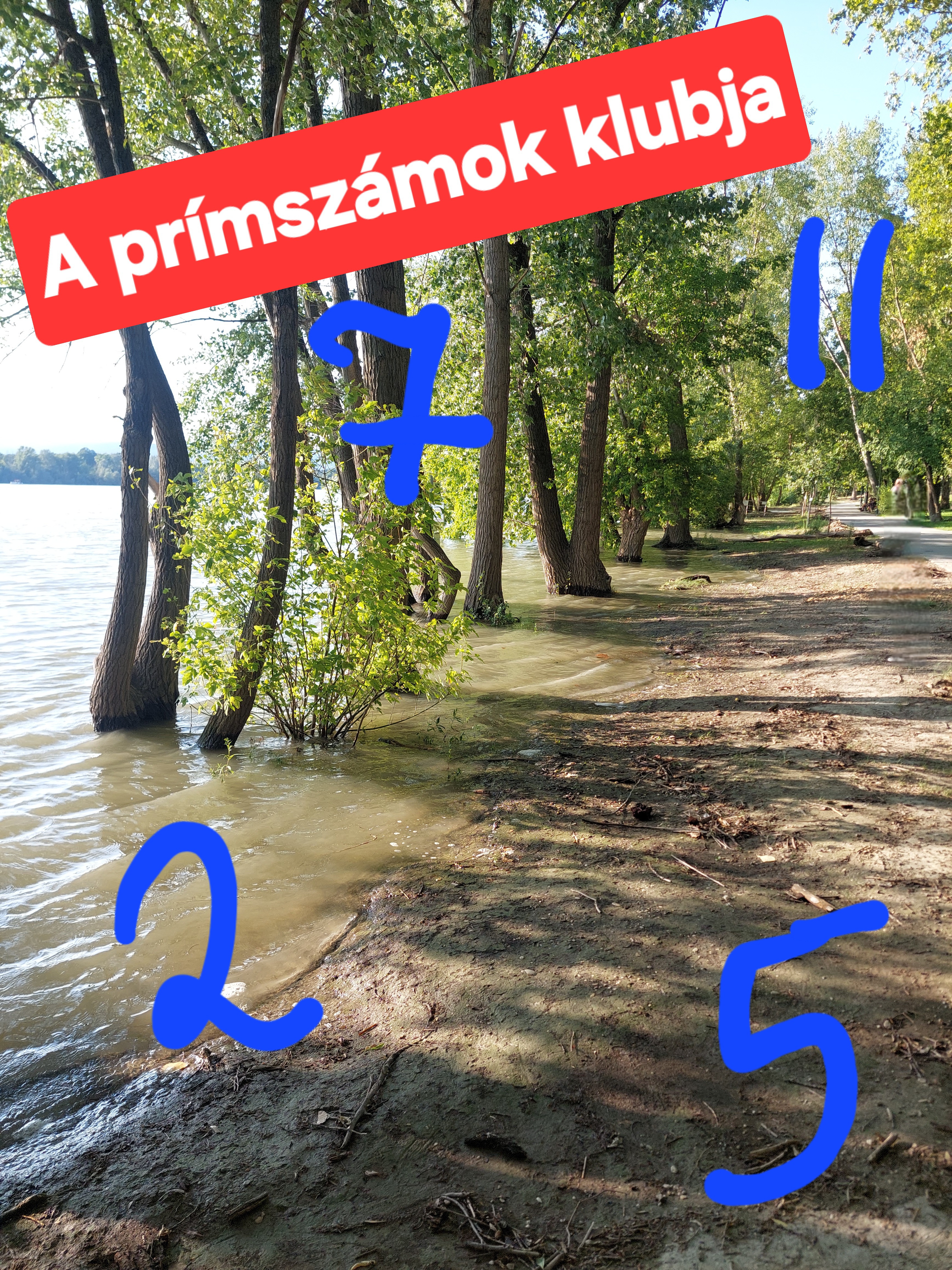 A prímszámok klubja: A kizárt 1-es esete, álprímek és rejtélyes prímhézagok