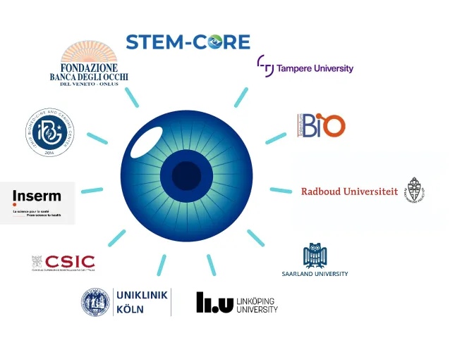 Wonderful world of science - Biotalentum Ltd. (Project STEM-CORE- Stem Cell Therapy Development for Corneal Epithelium Regeneration)