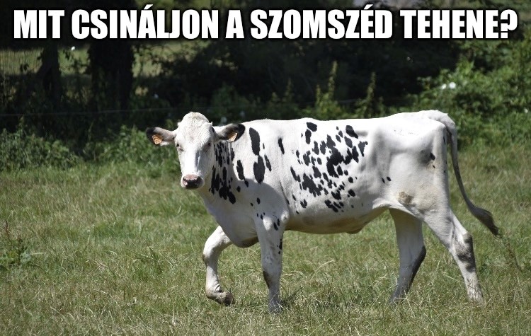 Magyarnak lenni kollektív neurózis?