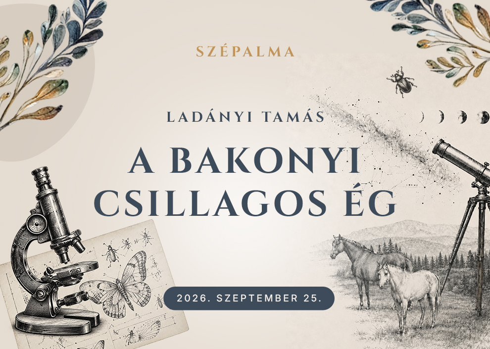 A bakonyi csillagos ég atmoszférája
