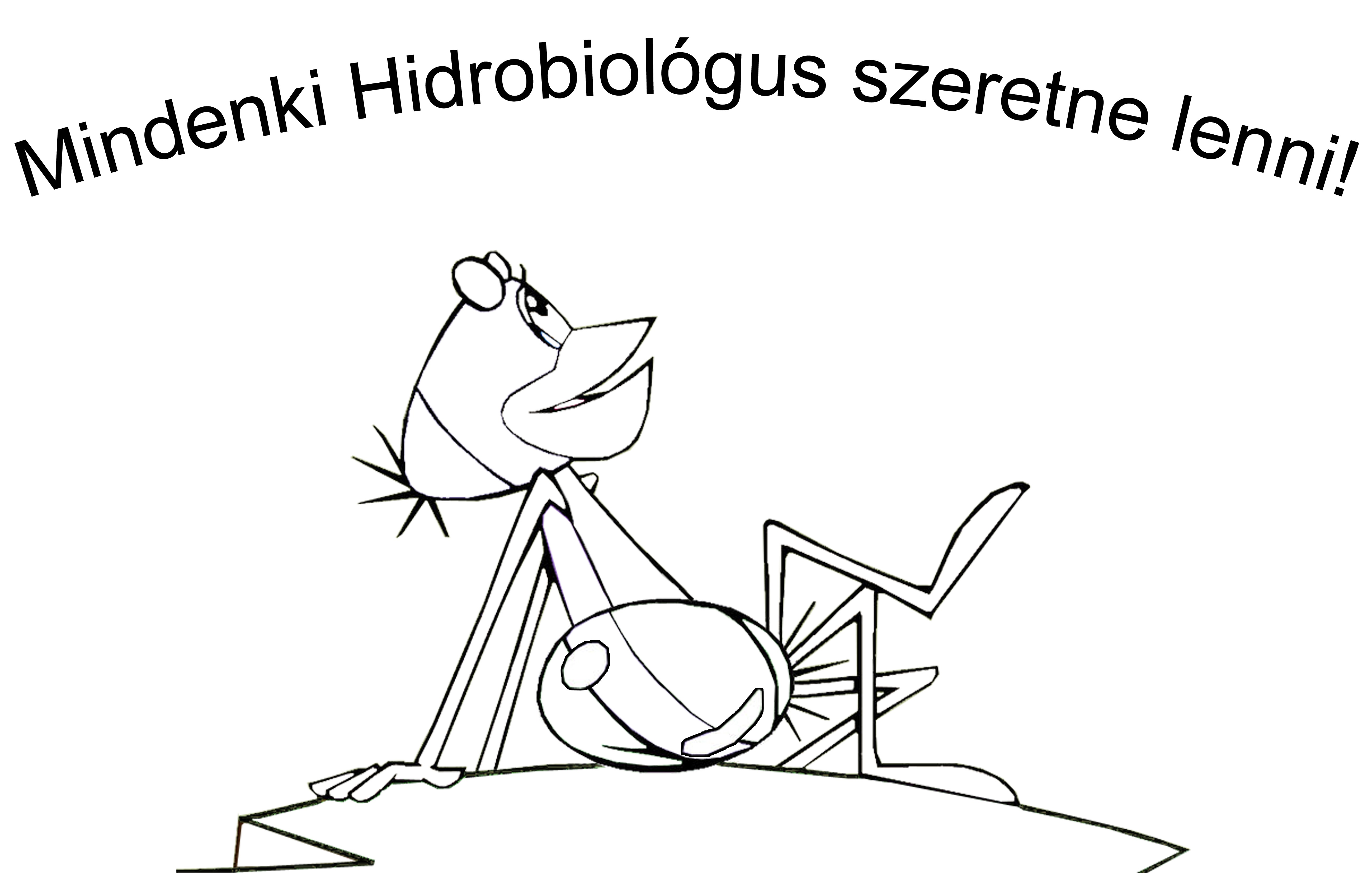 A vuek csodálatos élővilága
