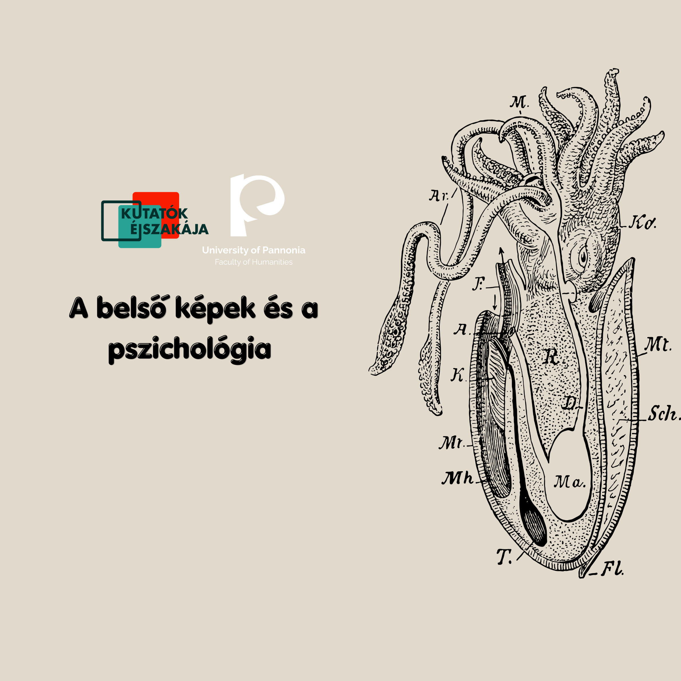 A belső képek és a pszichológia