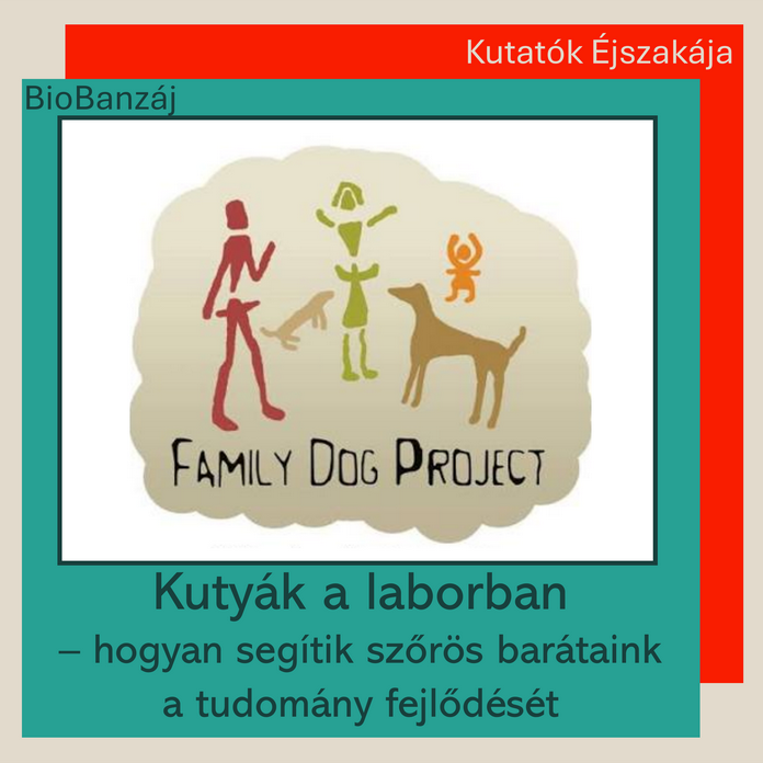 "BioBanzáj" Kutyák a laborban – hogyan segítik szőrös barátaink a tudomány fejlődését