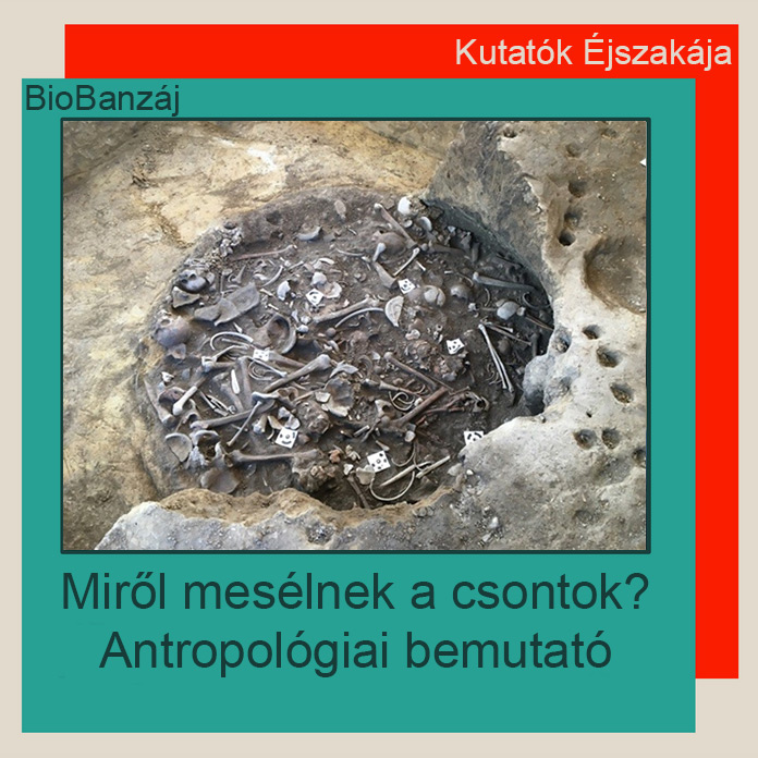 "BioBanzáj" Miről mesélnek a csontok? Antropológiai bemutató
