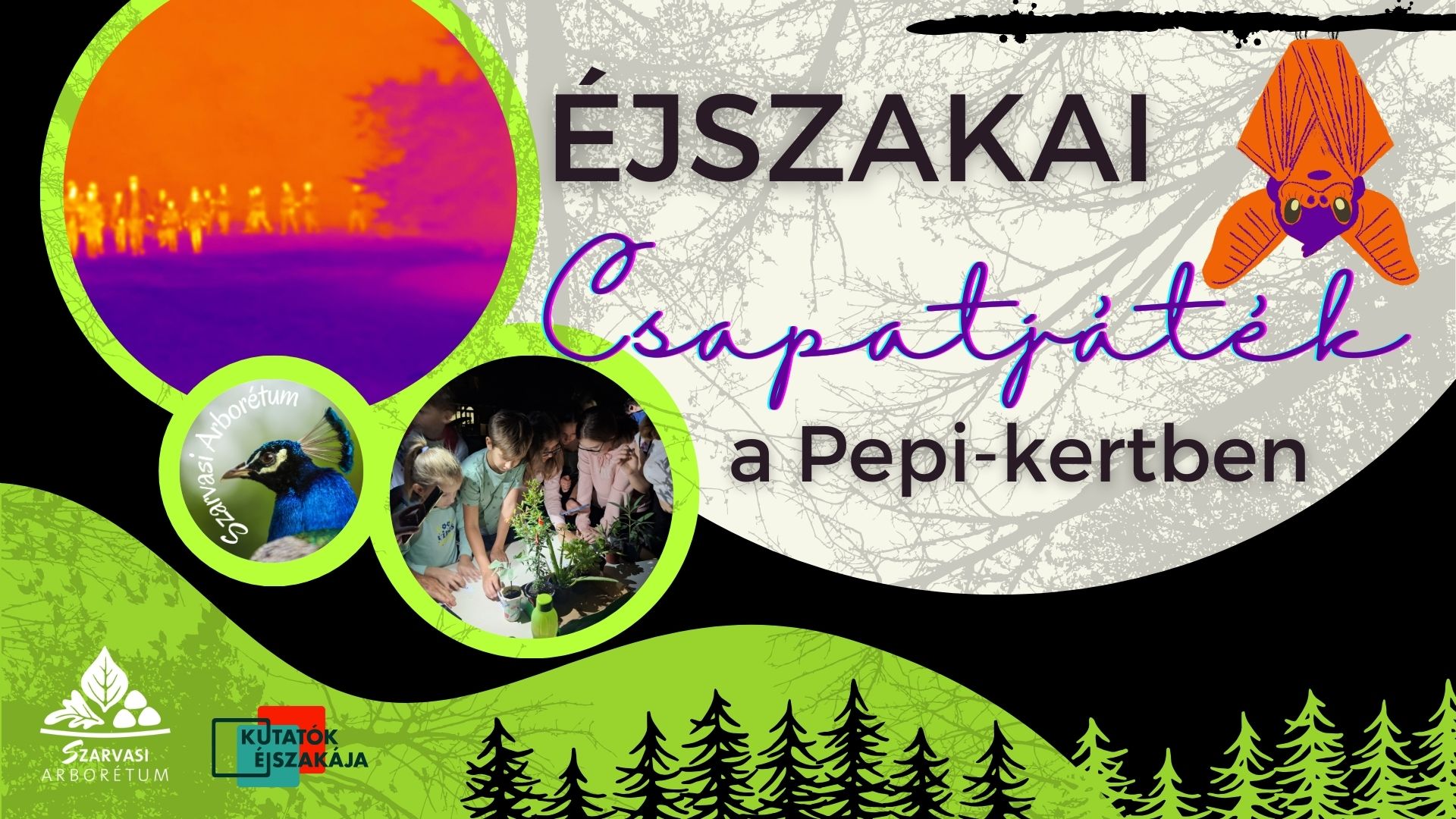 Éjszakai csapatjáték