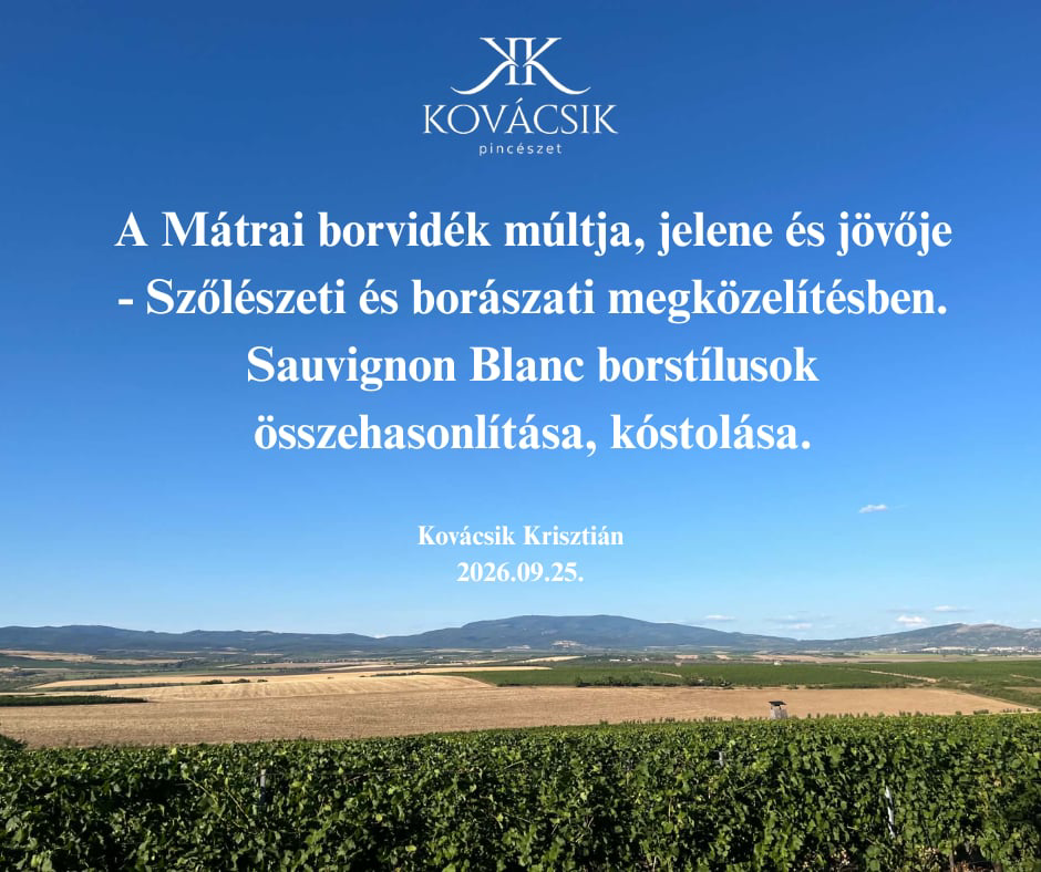 Kovácsik Krisztián a Kovácsik Pincészet tulajdonosa: A Mátrai borvidék múltja, jelene és jövője – Szőlészeti és borászati megközelítésben. Sauvignon Blanc borstílusok összehasonlítása, -kóstolása