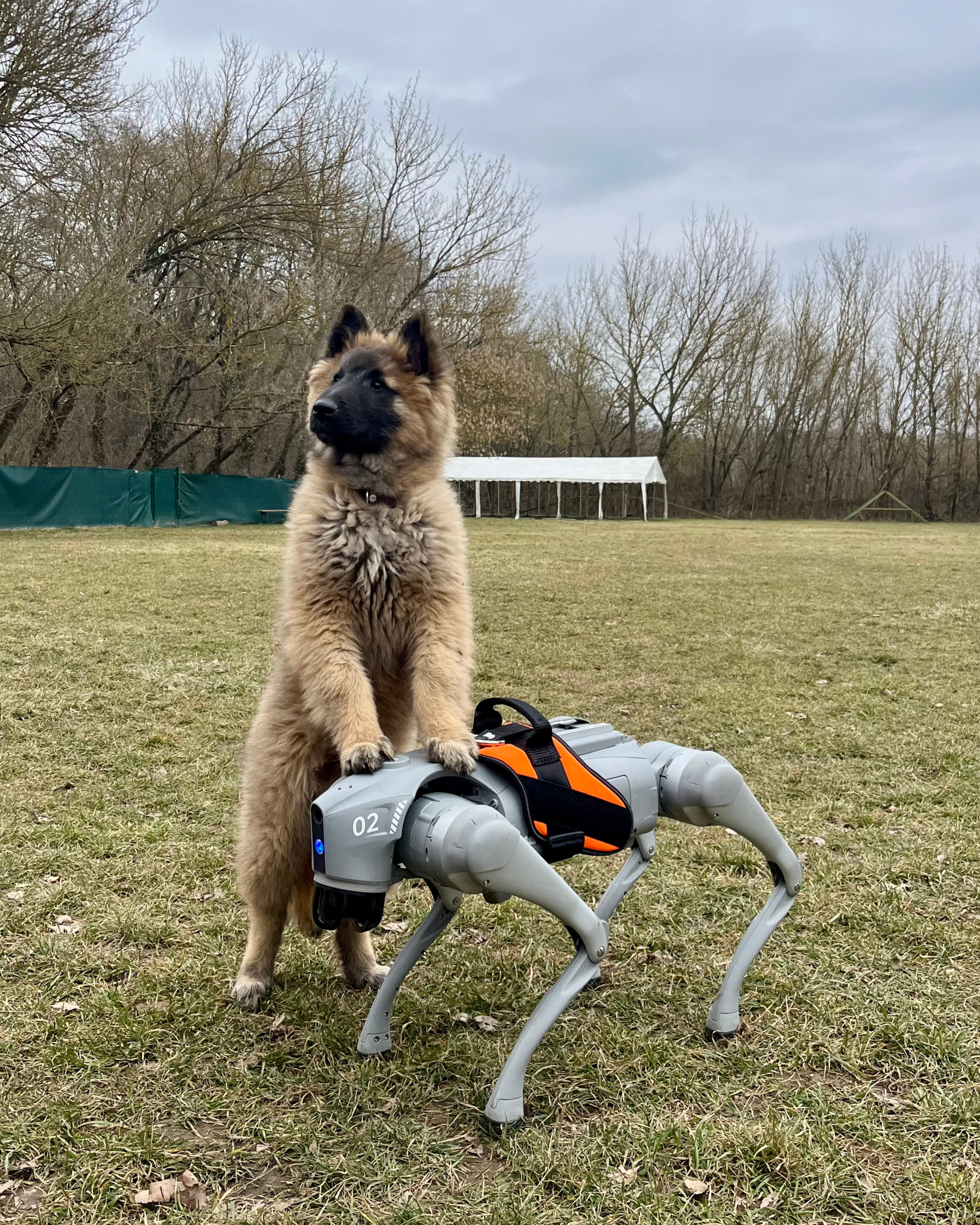 Etorobotika – Így neveld a robotodat!