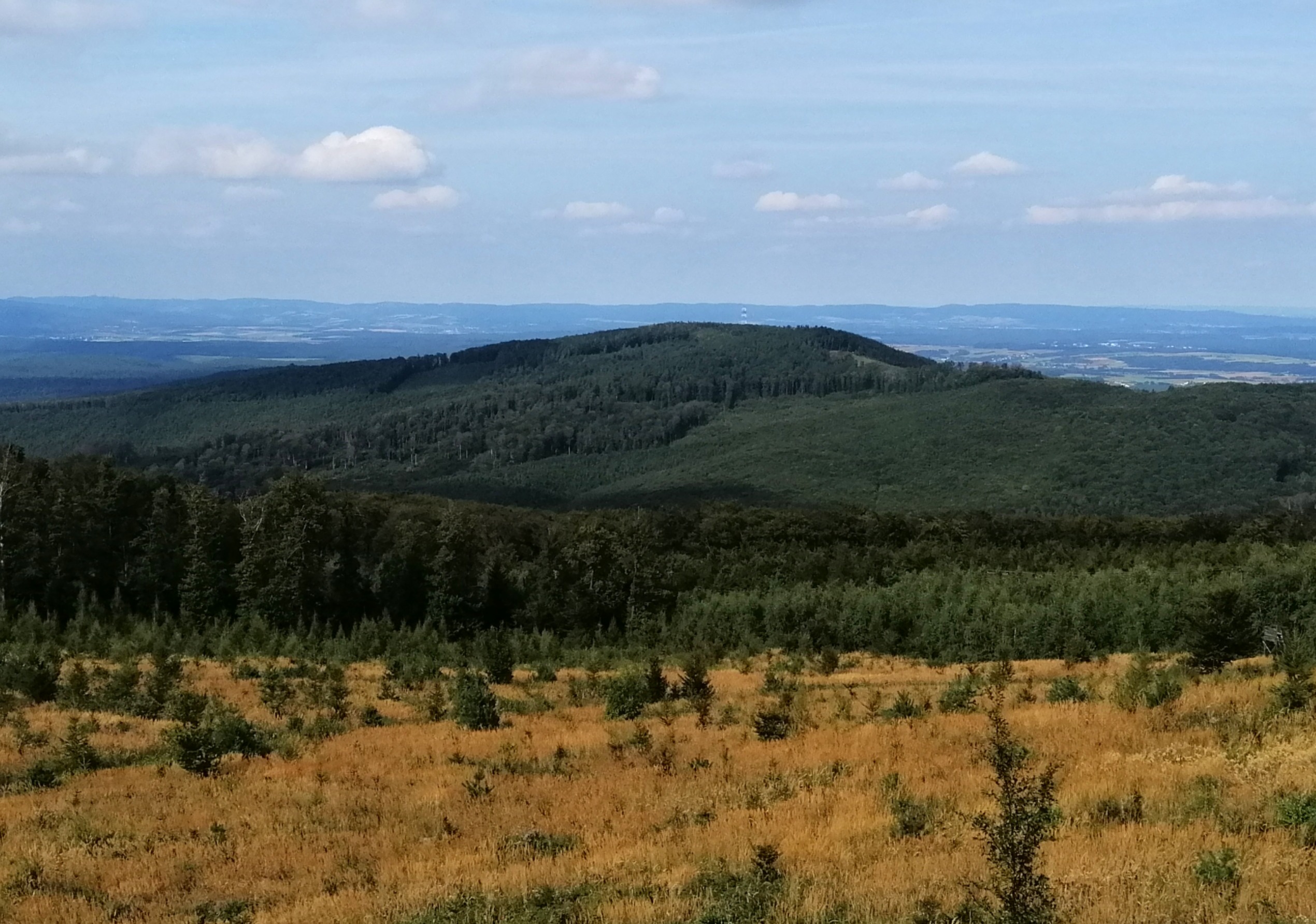 Találkozások hegye – Pannonicum és Noricum különleges fajai a Kőszegi-hegységben