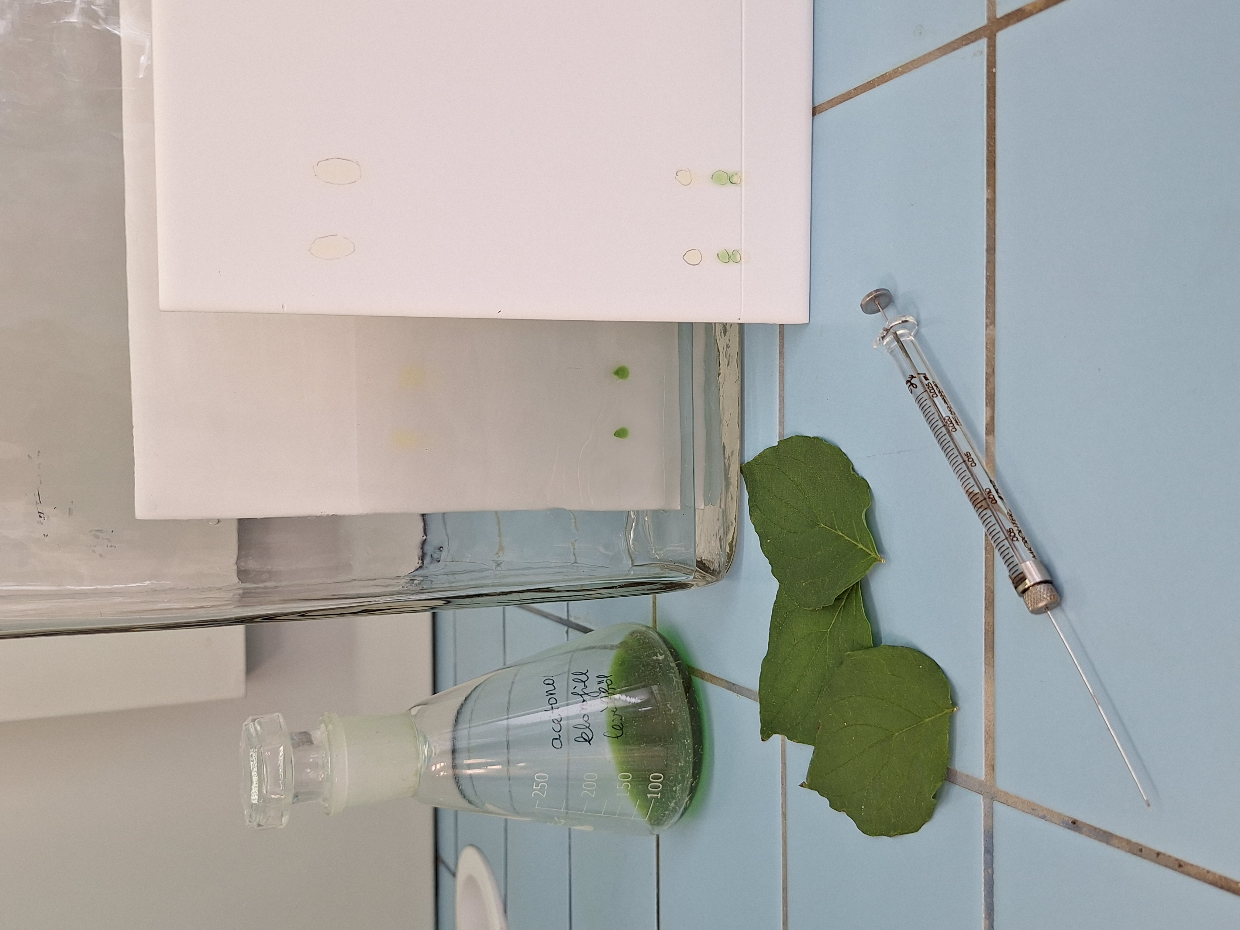 Kromatográfia játékosan