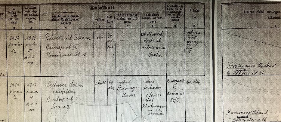Családfa-kutató gyorstalpaló