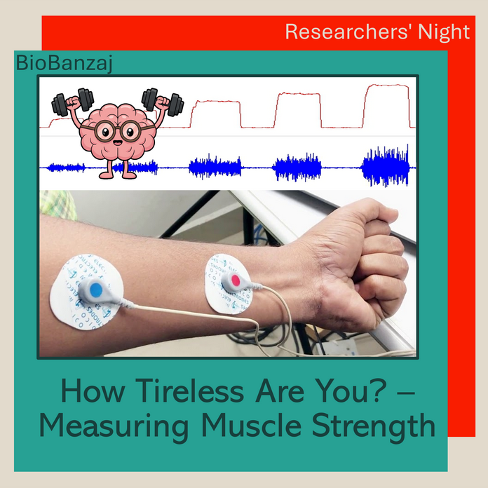 "BioBanzaj" How Tireless Are You? – Measuring Muscle Strength