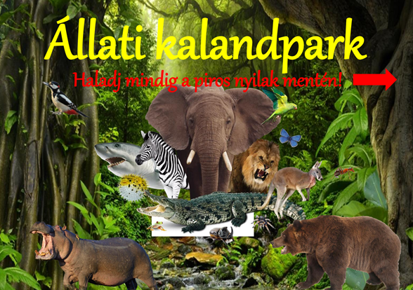 ÁLLATI KALANDPARK