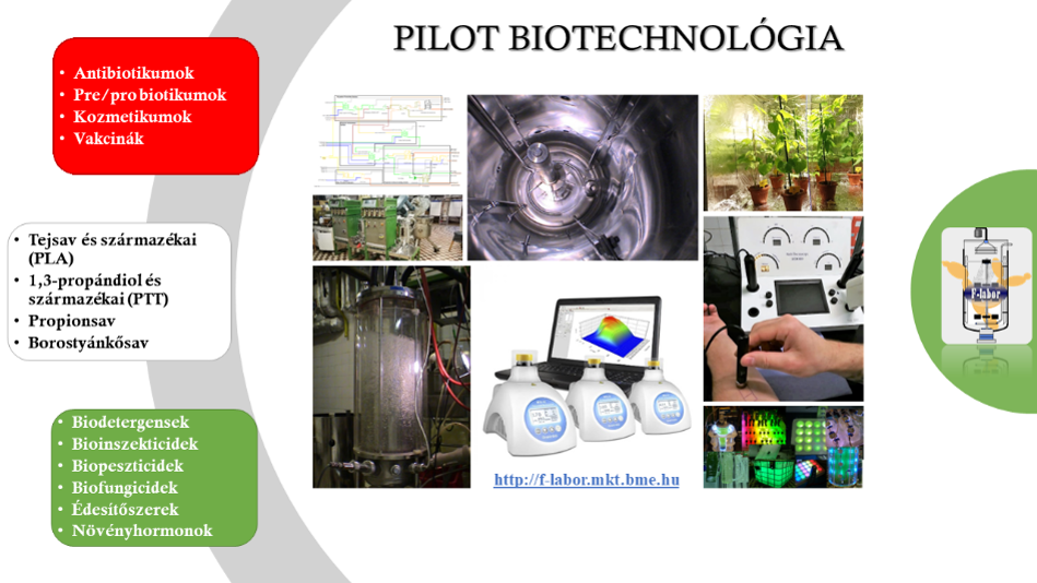 Ipari biotechnológia - Alkalmazott mikrobiológia