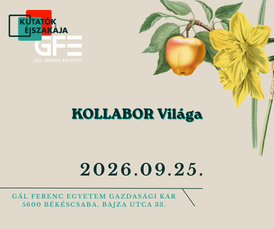 KOLLABOR Világa