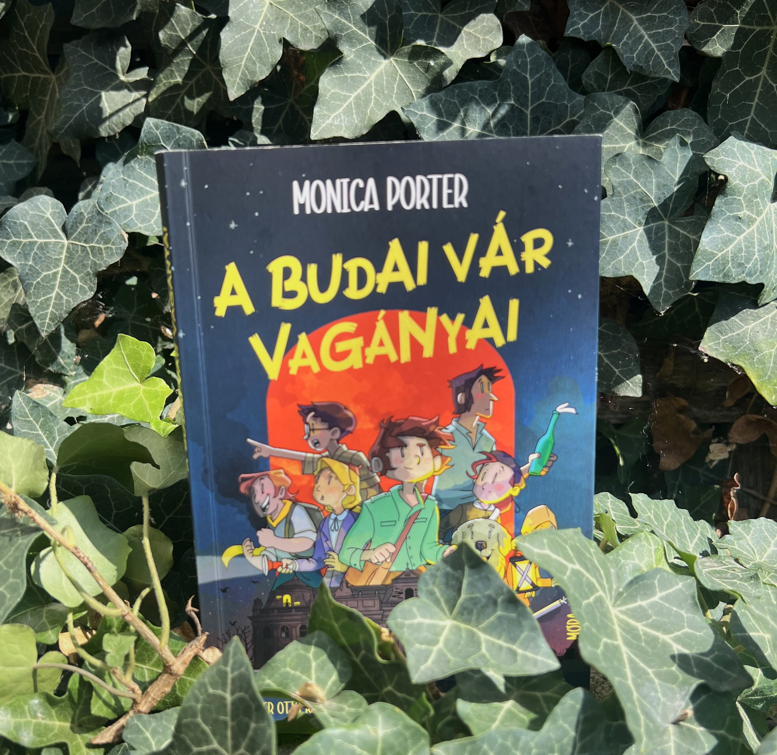 A budai vár Vagányai