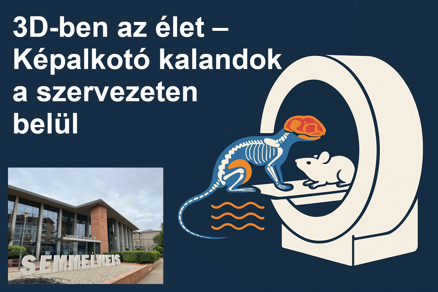 3D-ben az élet – Képalkotó kalandok a szervezeten belül
