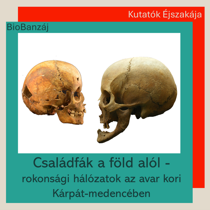 "BioBanzáj" Családfák a föld alól - rokonsági hálózatok az avar kori Kárpát-medencében