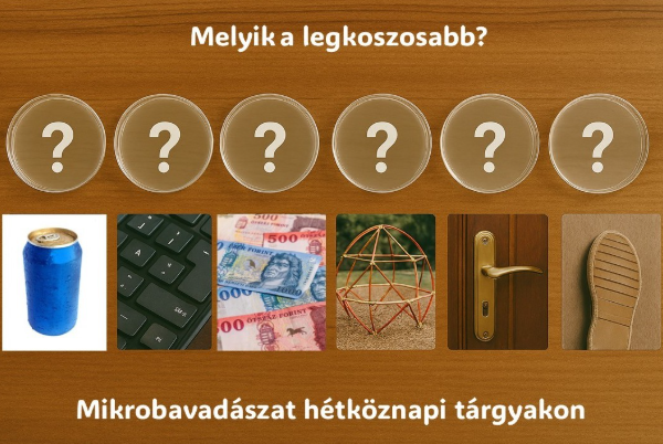 Melyik a legkoszosabb? - Mikrobavadászat hétköznapi tárgyakon