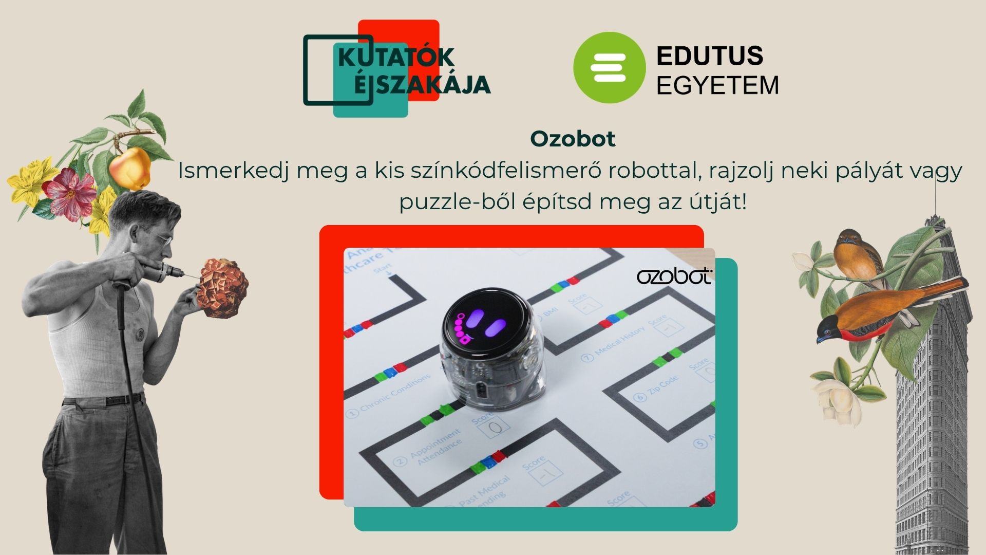 Ozobot - színkódfelismerő robot