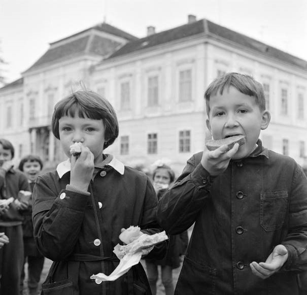 MENZÁN INNEN-MENZÁN TÚL. Titkok-tények-távlatok az iskolai közétkeztetésben
