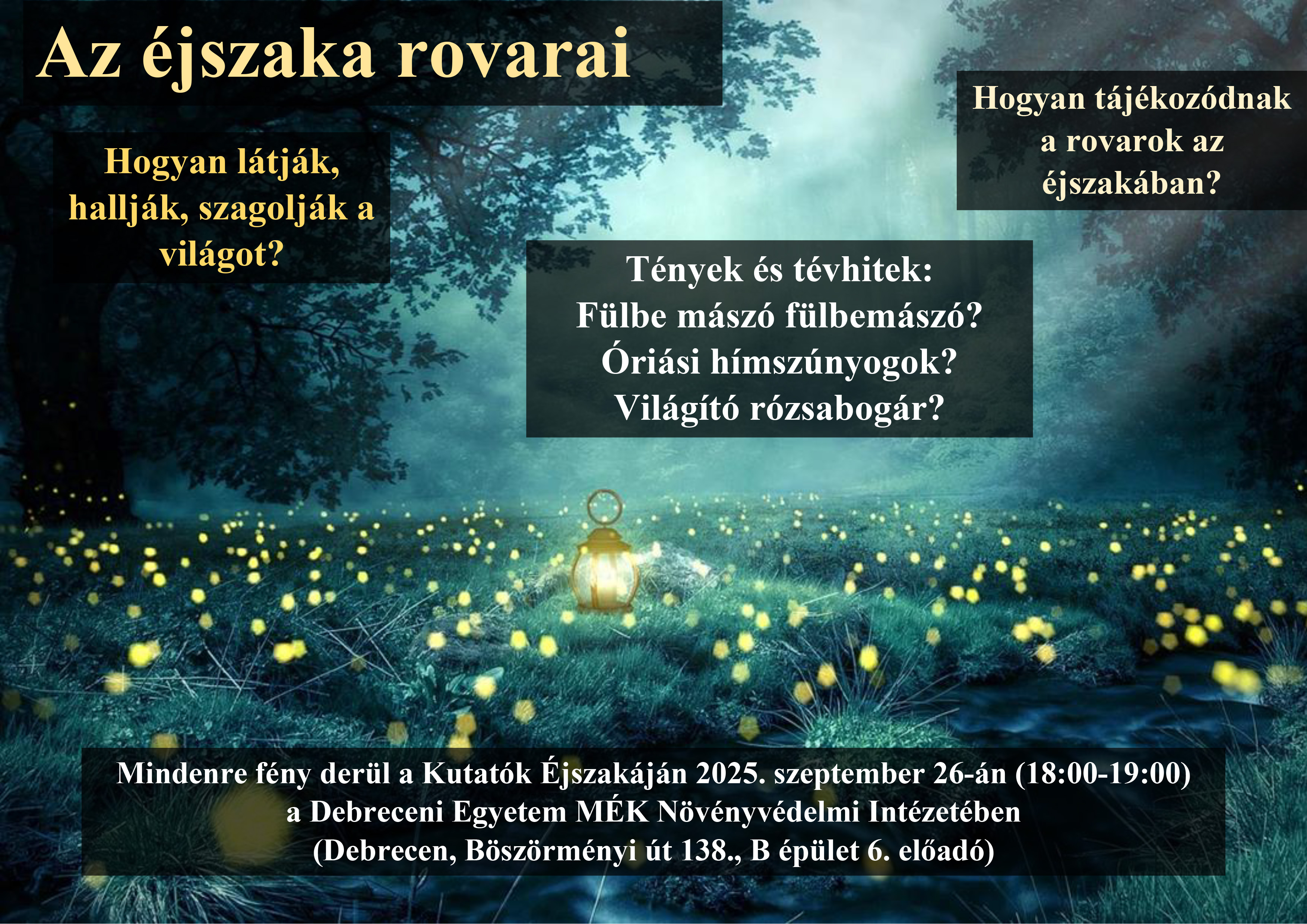 Az éjszaka rovarai