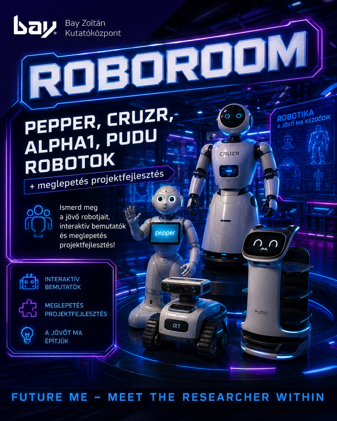 ROBOROOM