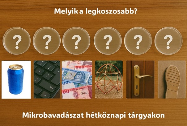 Melyik a legkoszosabb? – Mikrobavadászat hétköznapi tárgyakon
