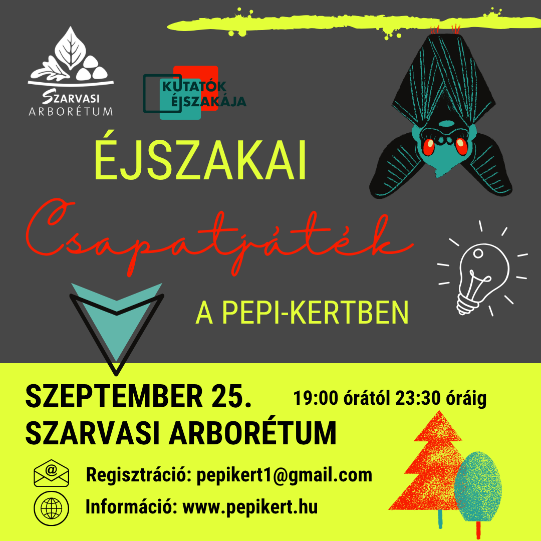 Éjszakai csapatjáték