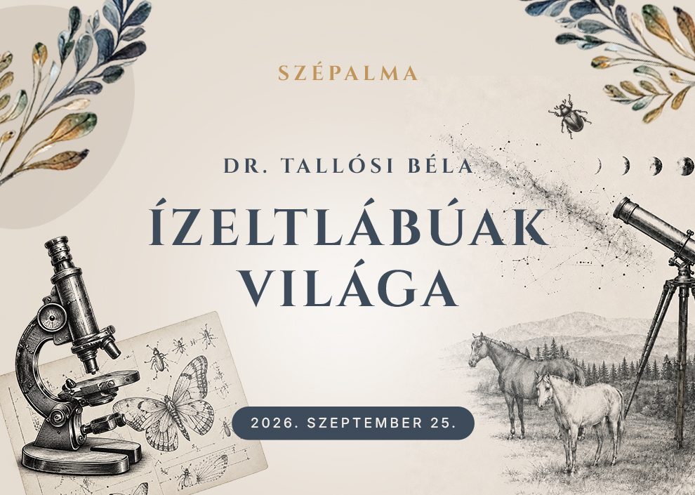 Ízeltlábúak világa