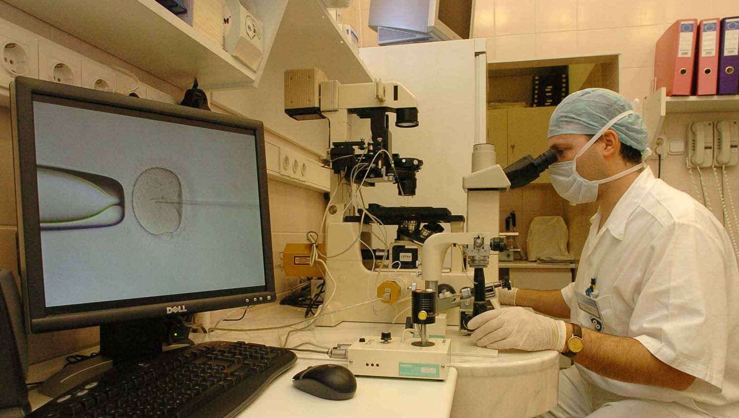 Lombikbébi és társai. Meddőség kezelése a kezdetektől a mesterséges intelligenciáig