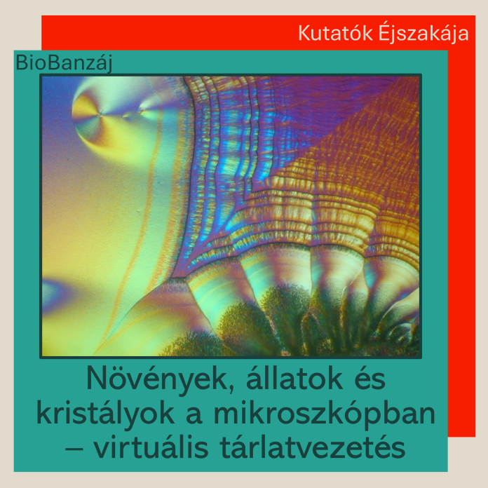 "BioBanzáj" Növények, állatok és kristályok a mikroszkópban – virtuális tárlatvezetés